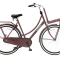 Daily dutch Basic 28 inch 2024