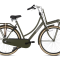 Daily dutch Basic 28 inch 2024