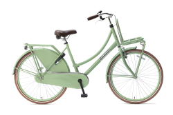 Daily Dutch Basic 26 inch 2022