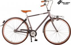 Lifestyle 28 inch 2022