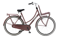 Daily dutch Basic 28 inch 2022