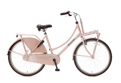 Daily Dutch Basic 26 inch 2022