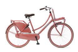 Daily Dutch Basic 26 inch 2022